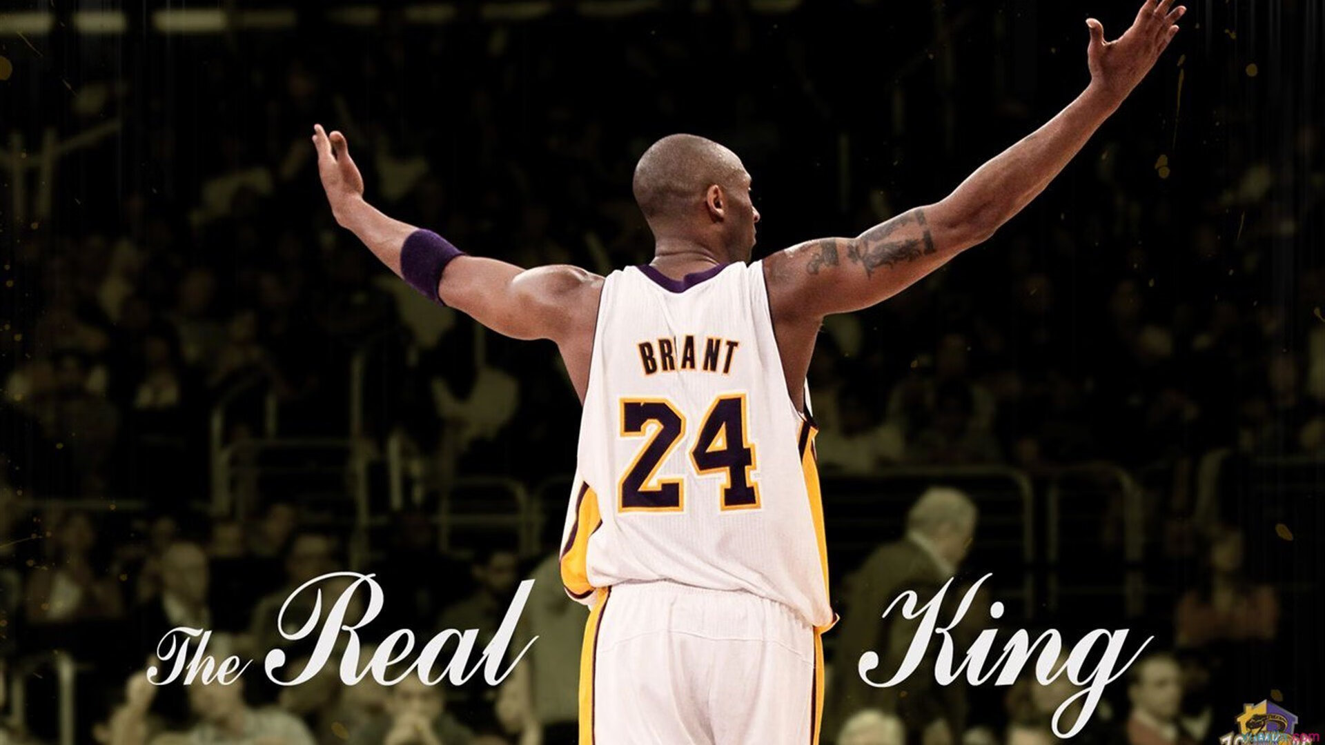 开云体育-_猛龙坚持努力，逐步逼近季后赛_，18～19猛龙季后赛赛程